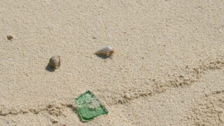 積立投資を“守る” －リバランスと学びでお金を整える－