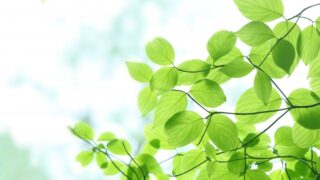 日経新聞「マネーのまなび」ゼロから学ぶ高額療養費制度に取材協力