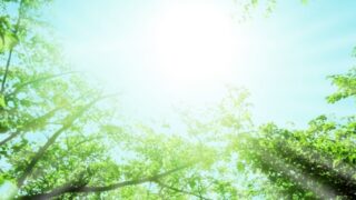 日本経済新聞「マネーのまなび」おひとりさまの備えに取材協力