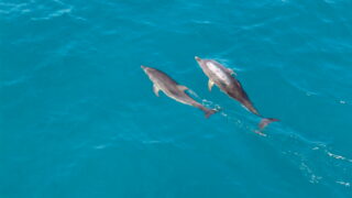 「J-FLECはじめてのマネープラン」割引クーポン　利用できます