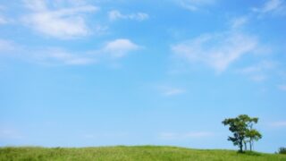 監修記事【空き家を更地にして売る】がGMO不動産査定に掲載