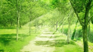 FPが作成するライフプラン表に割引クーポン！