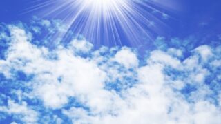 「THE NEXT GENERATION 」Webメディアにインタビュー記事掲載