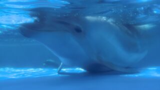 金を「買う」ときより、「売る」ときに困った話