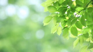 日本経済新聞「マネーのまなび」に協力～話題の高額療養費を知っておこう！