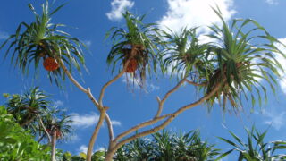 つみたて投資の第一歩　～　怖い・ムズカシイはコントロールできる