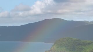 新社会人に生命保険は必要？ ― まず知っておきたい公的保障 ―