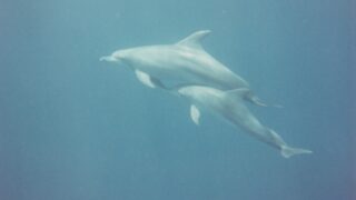 お金の不安は、どこから始まる？