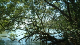 AI時代の「お金の情報」とどう付き合う？鵜呑みにしないためのAIリテラシー