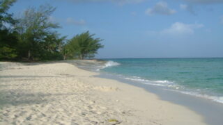 子どもが独立したのに、その保険まだ必要？－保険見直しのタイミング