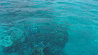 「我が家の作戦」でお金の不安を減らそう